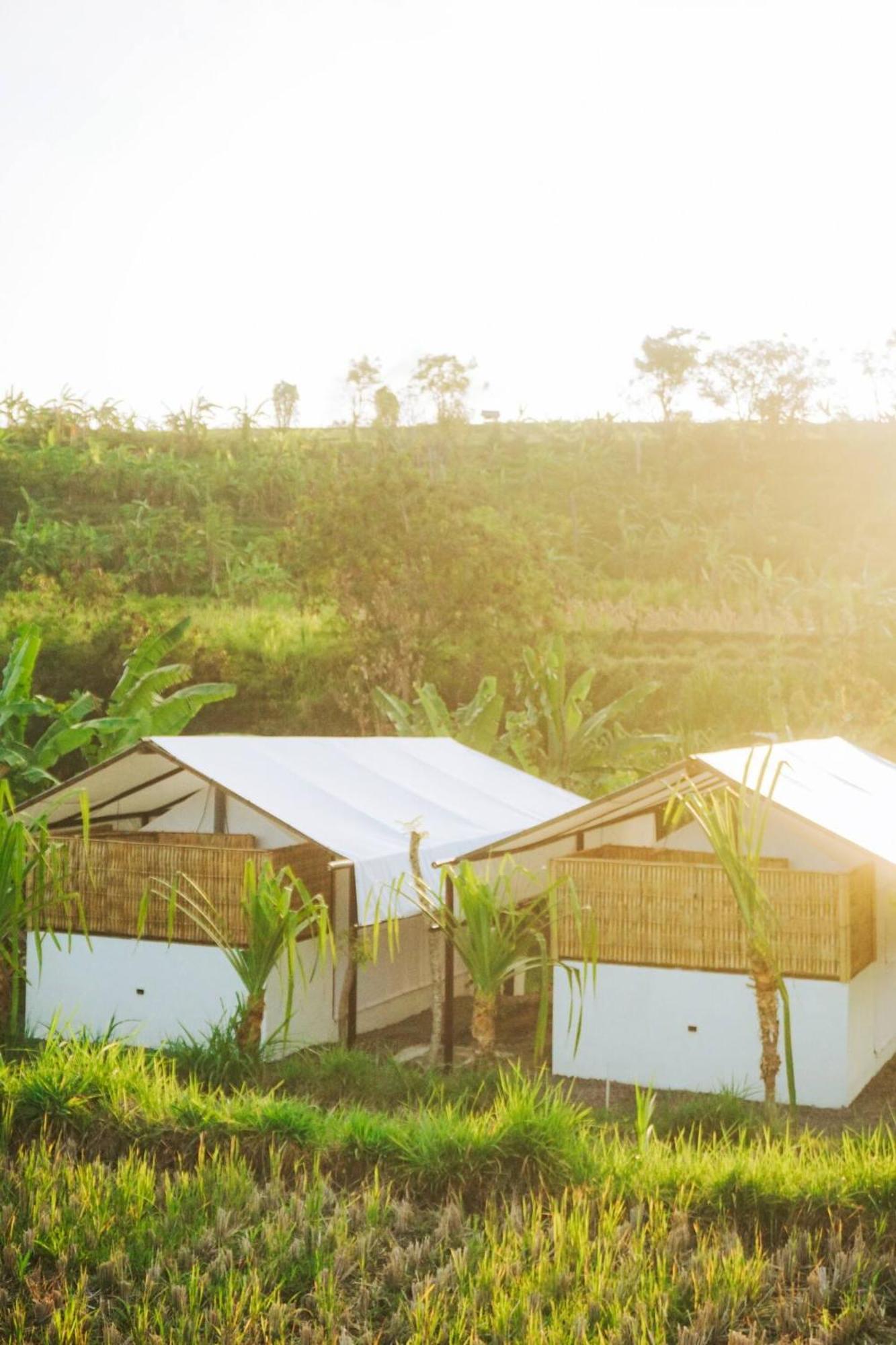 Hotel Camani Glamping Karangasem Exteriér fotografie