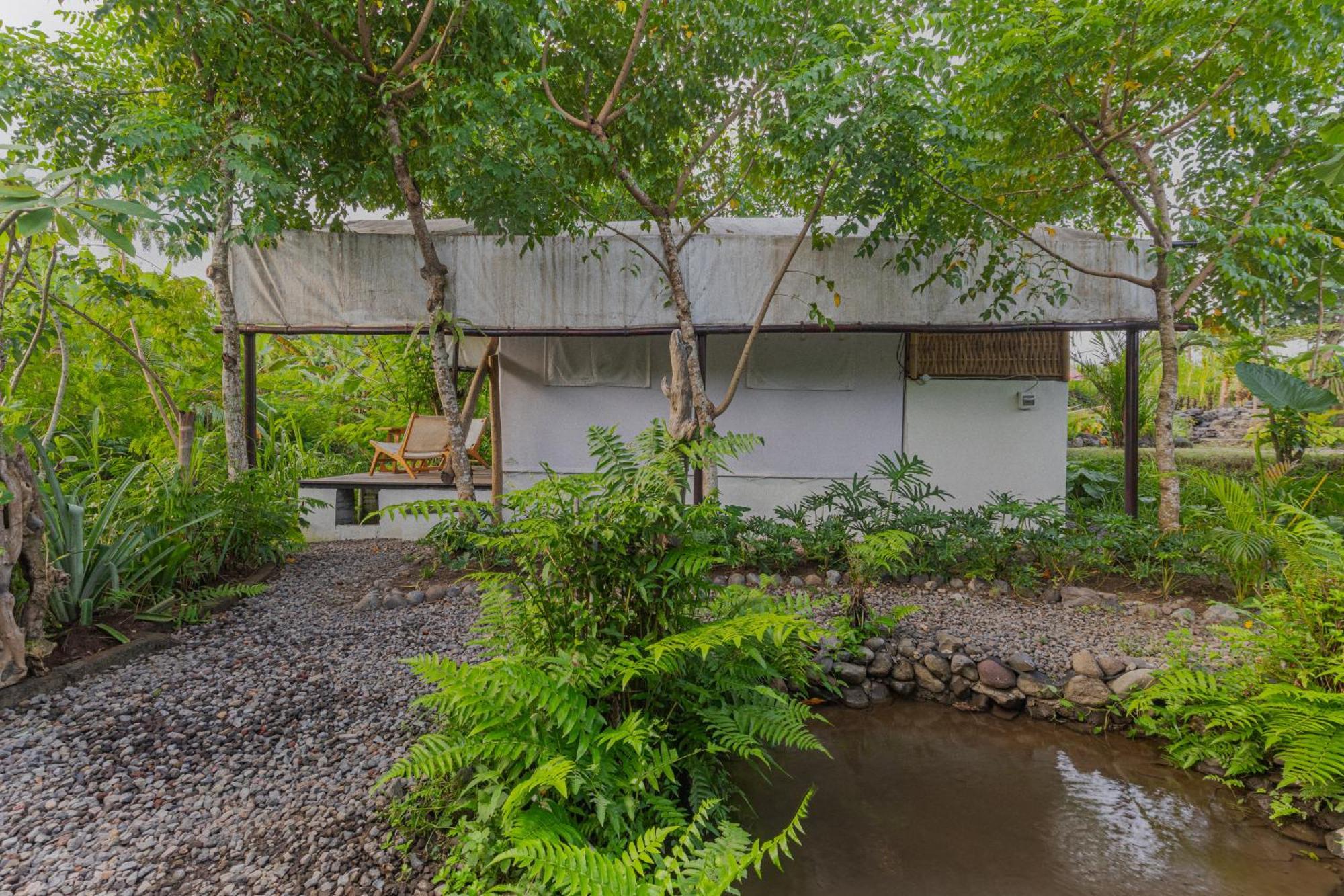Hotel Camani Glamping Karangasem Exteriér fotografie