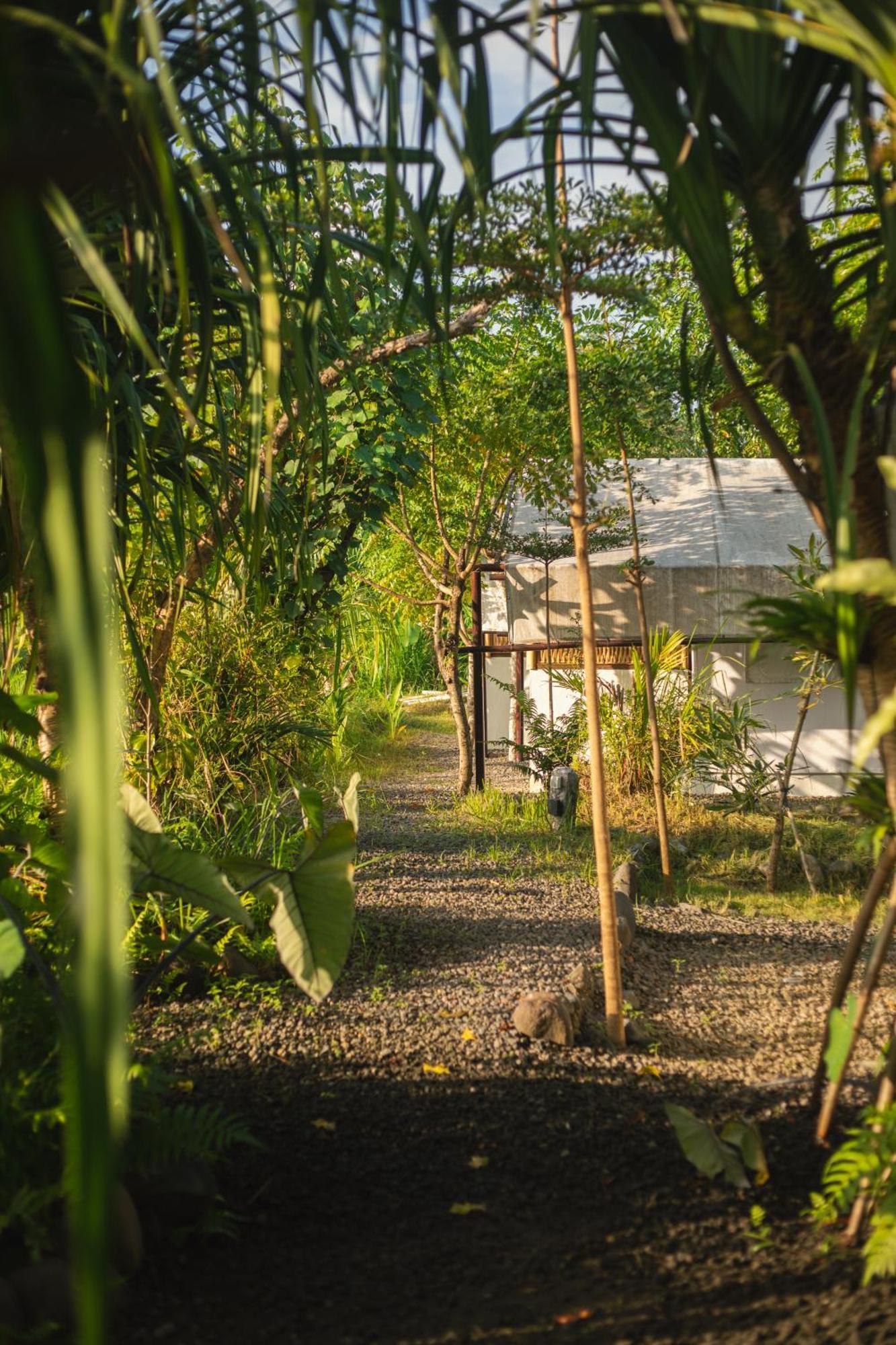 Hotel Camani Glamping Karangasem Exteriér fotografie
