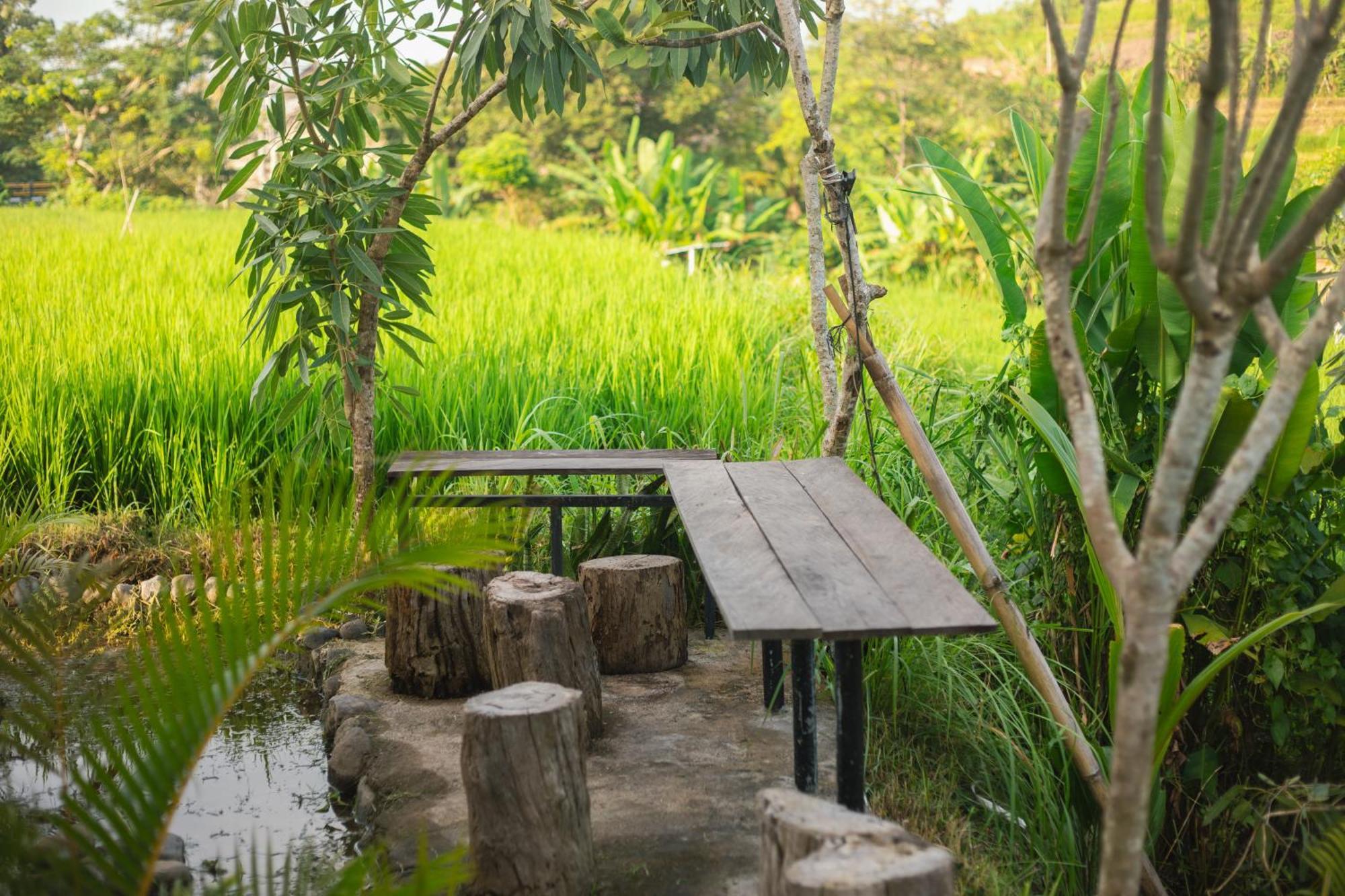 Hotel Camani Glamping Karangasem Exteriér fotografie