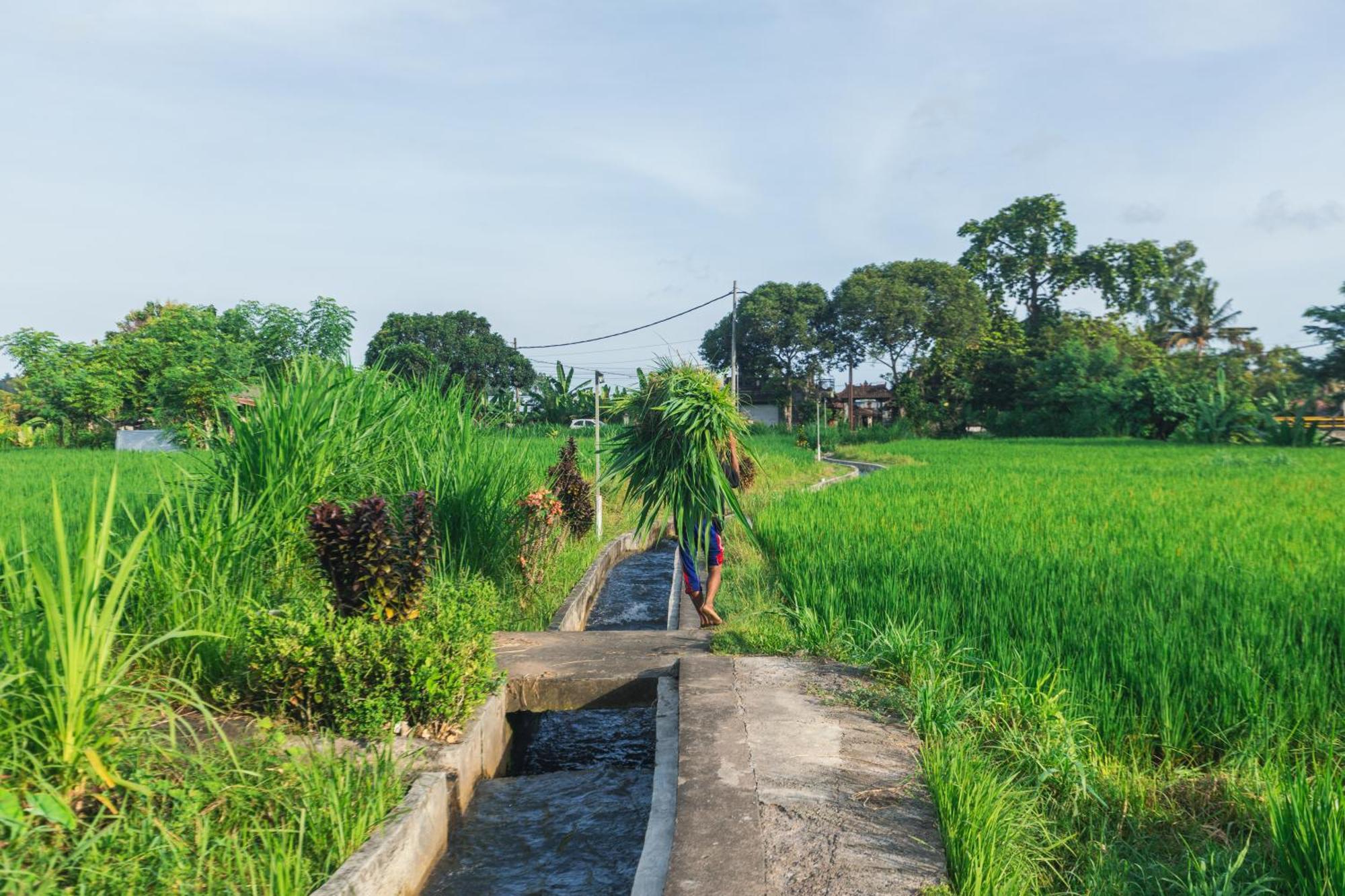 Hotel Camani Glamping Karangasem Exteriér fotografie