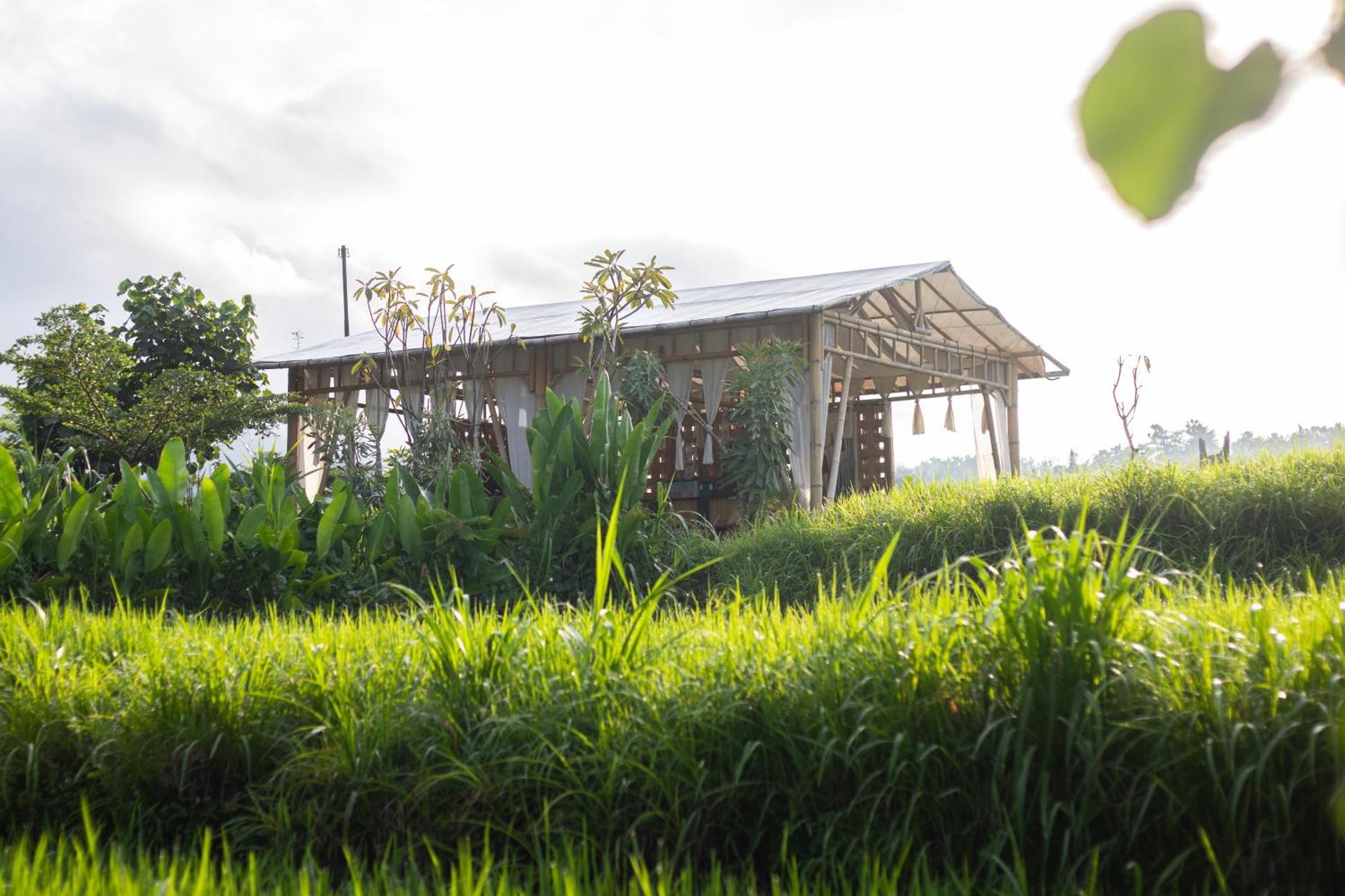 Hotel Camani Glamping Karangasem Exteriér fotografie