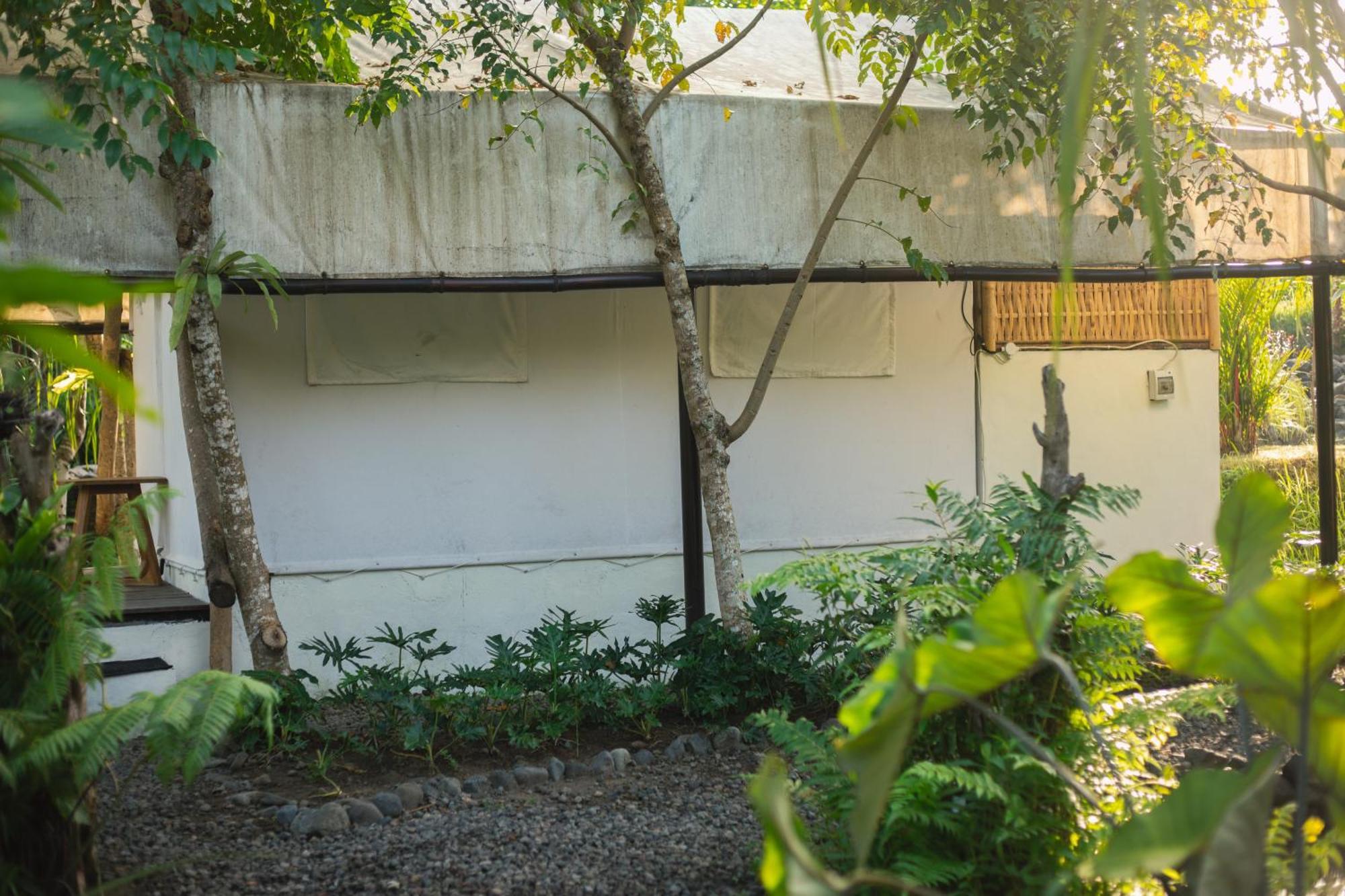 Hotel Camani Glamping Karangasem Pokoj fotografie