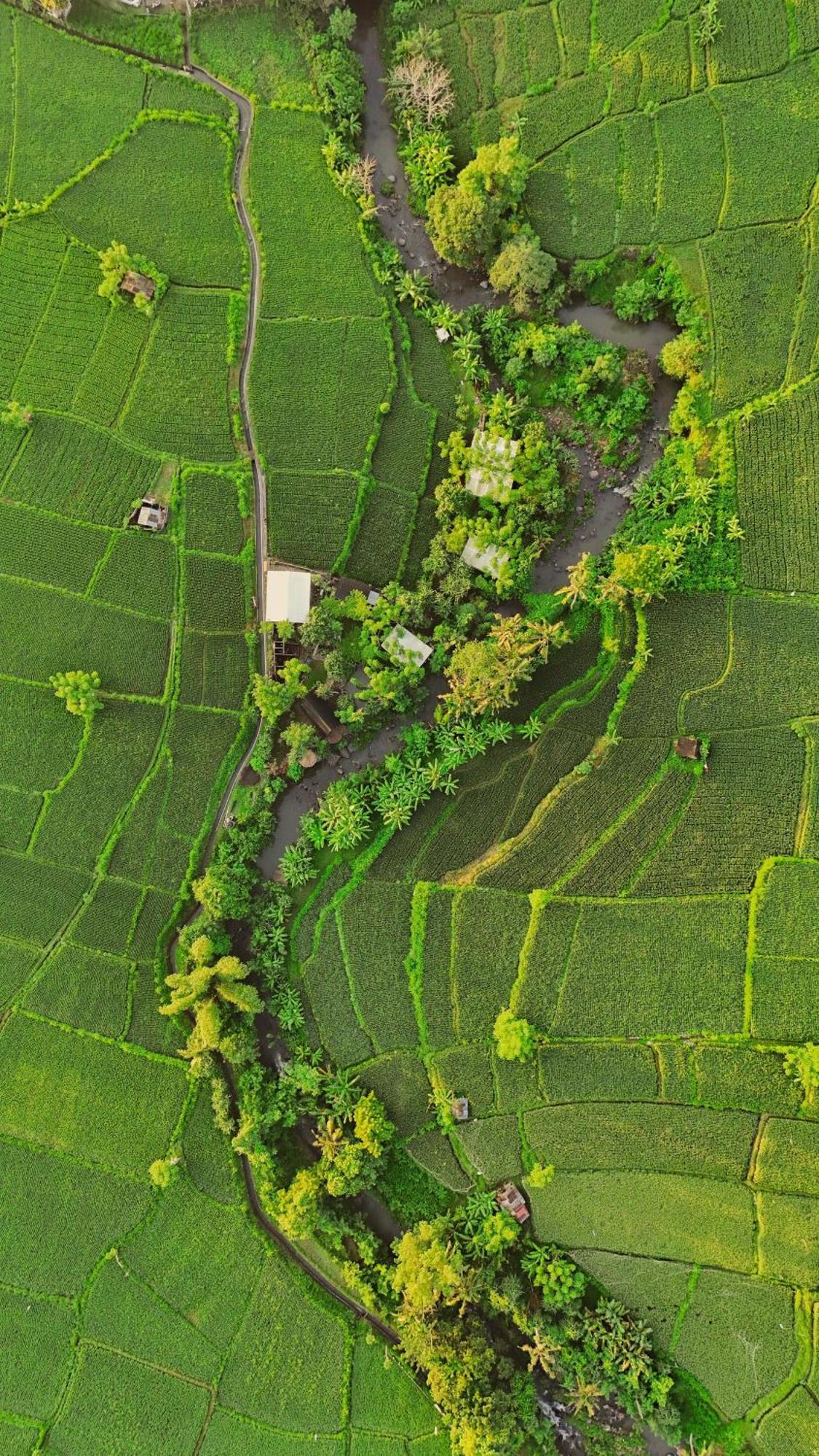 Hotel Camani Glamping Karangasem Exteriér fotografie